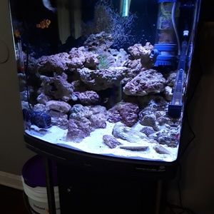 Meet your Posher, Jay